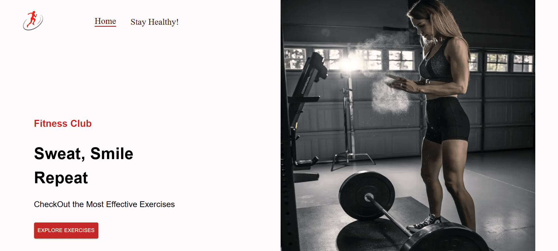 Stay Fit Fitness Club - Project screenshot